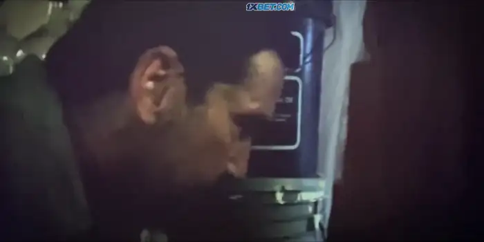 download last seen alive (2022) camrip english full movie 480p [380mb] | 720p [1.2gb]