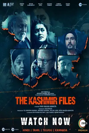 Download The Kashmir FilesWEB DL Hindi Full Movie 480p [400MB] | 720p [1.1GB] | 1080p [2.3GB] screenshot 1