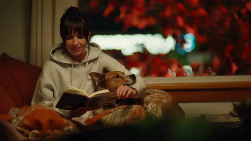 download animal control (2023) season 1 [s01e12 added] fox original english web series 720p [150mb] web-dl