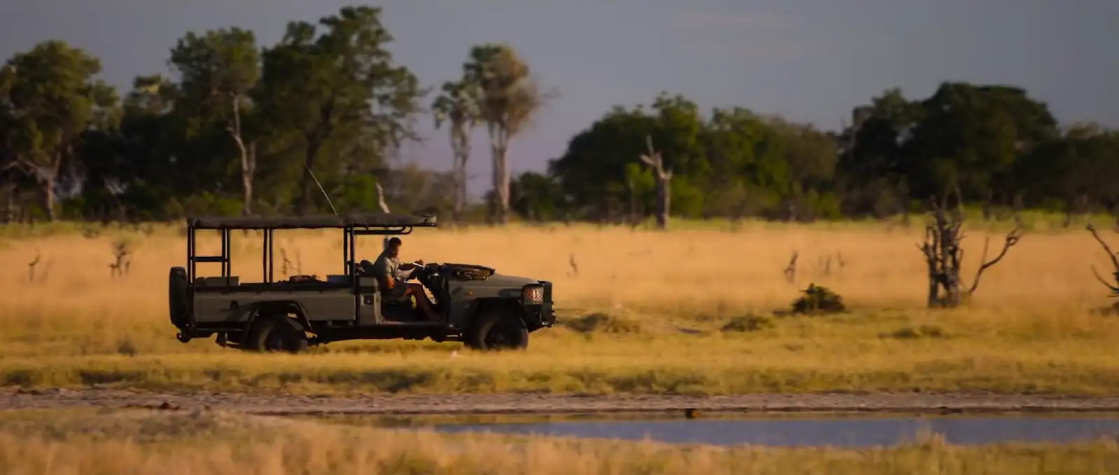 download living with leopards (2024) {english with subtitles} full movie web-dl 480p [200mb] | 720p [570mb] | 1080p [1.3gb]