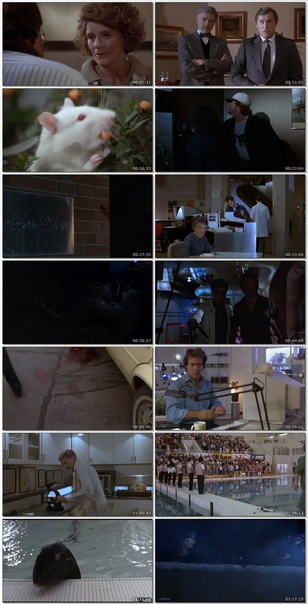 download food of the gods 2 (1989) dual audio {hindi-english} 480p [300mb] | 720p [1gb]