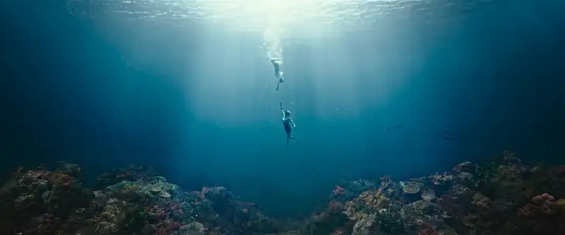 download smugglers (2023) dual audio [hindi (org 5.1) + korean] web-dl 480p [500mb] | 720p [1.1gb] | 1080p [2.5gb]