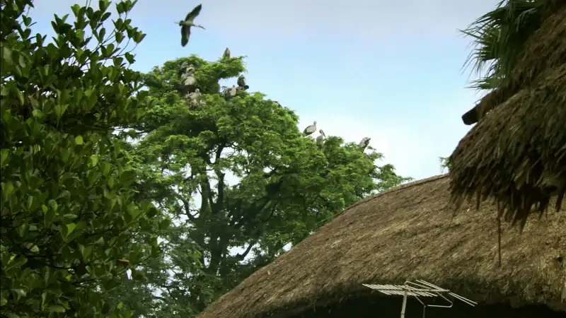 download ganges (2007) dual audio {hindi-english} 480p [500mb] | 720p [1.4gb] | 1080p [3gb]