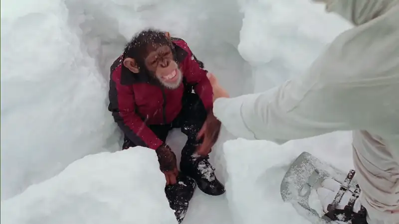 download spymate (2003) dual audio [hindi + english] web-dl 480p [300mb] | 720p [850mb] | 1080p [1.7gb]