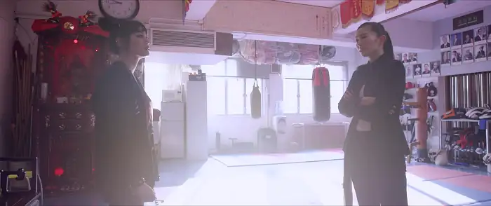 Download Lady BloodfightDual Audio {Hindi English} 480p [350MB] | 720p [950MB] | 1080p [2GB] screenshot 4