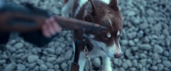 download against the ice - netflix original (2022) dual audio {hindi-english} 480p [400mb] | 720p [1.2gb] | 1080p [2gb]