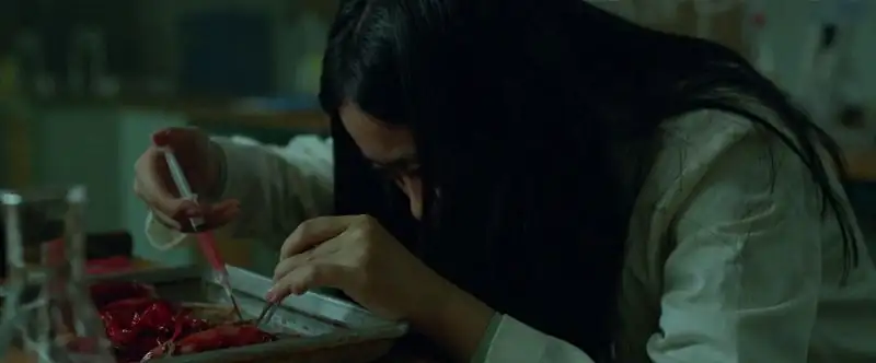 download grafted (2024) amzn web-dl dual audio {hindi-english} 480p [330mb] | 720p [780mb] | 1080p [1.9gb]