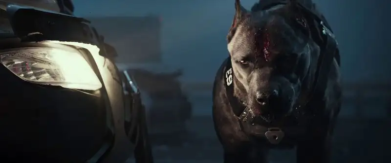 download project silence (2023) bluray dual audio {hindi-korean} 480p [460mb] | 720p [970mb] | 1080p [1.7gb]