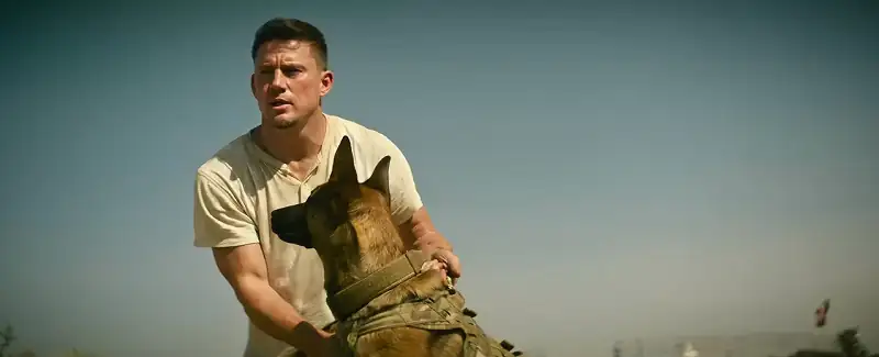 download dog (2022) dual audio {hindi org. dubbed + english} web-dl 480p [450mb] | 720p [1.6gb] | 1080p [3.4gb]