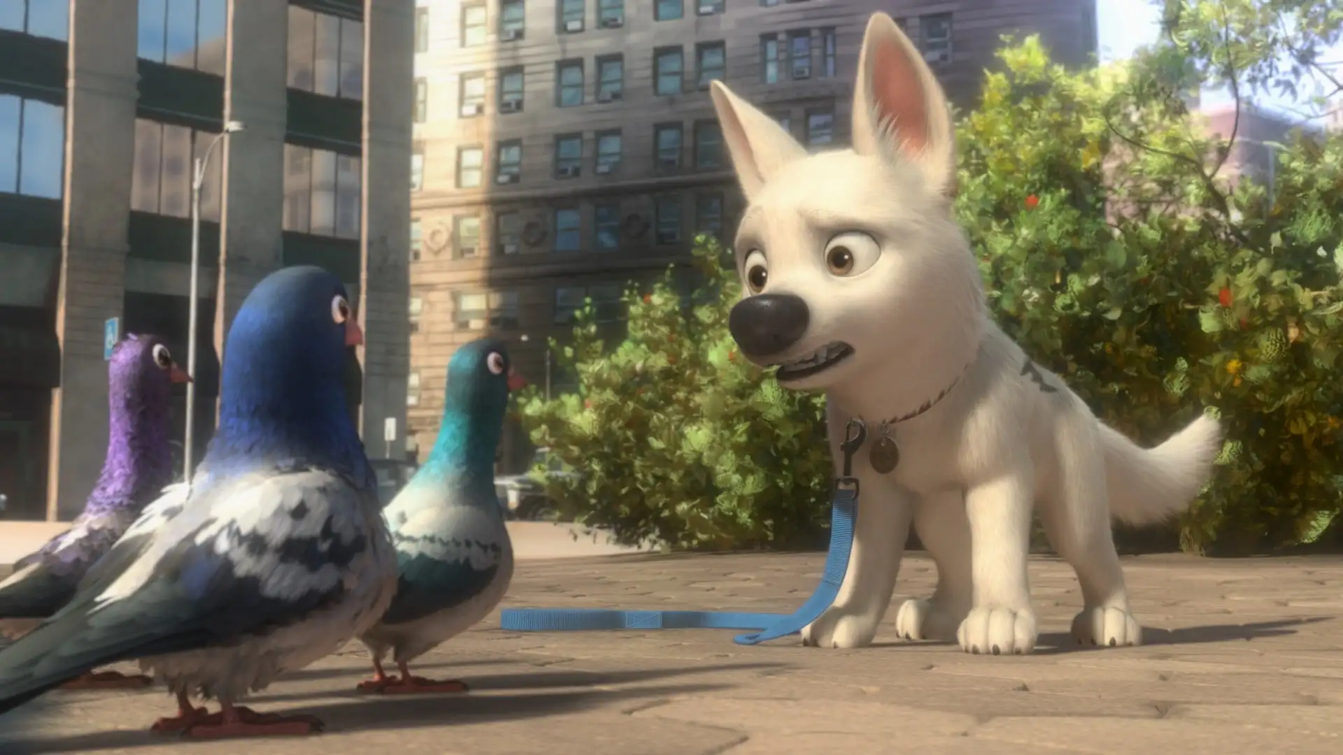 download bolt (2008) dual audio {hindi-english} 480p [350mb] | 720p [1gb]