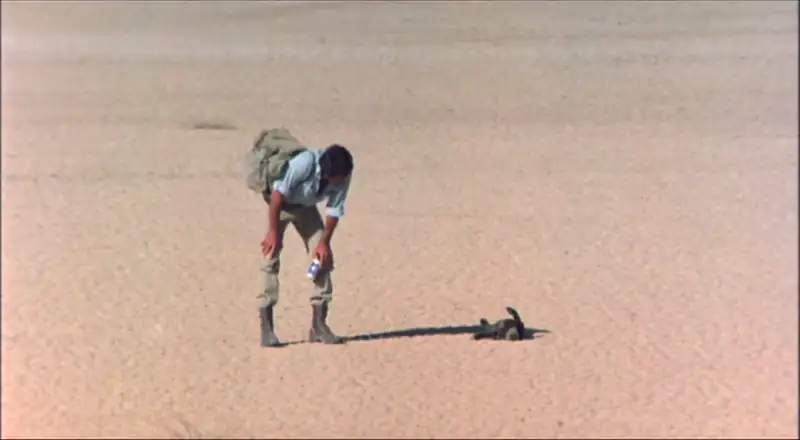 download the gods must be crazy 2 (1989) bluray dual audio {hindi-english} 480p [300mb] | 720p [900mb] | 1080p [2gb]