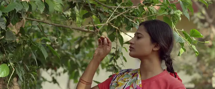 Download PhulmaniaHindi Full Movie 480p [320MB] | 720p [1.8GB] | 1080p [3GB] screenshot 1