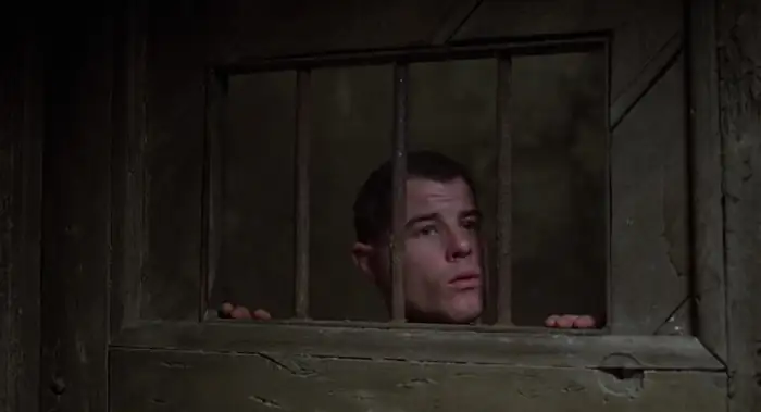 download midnight express (1978) dual audio {hindi-english} 480p [400mb] | 720p [1gb] | 1080p [2.2gb]