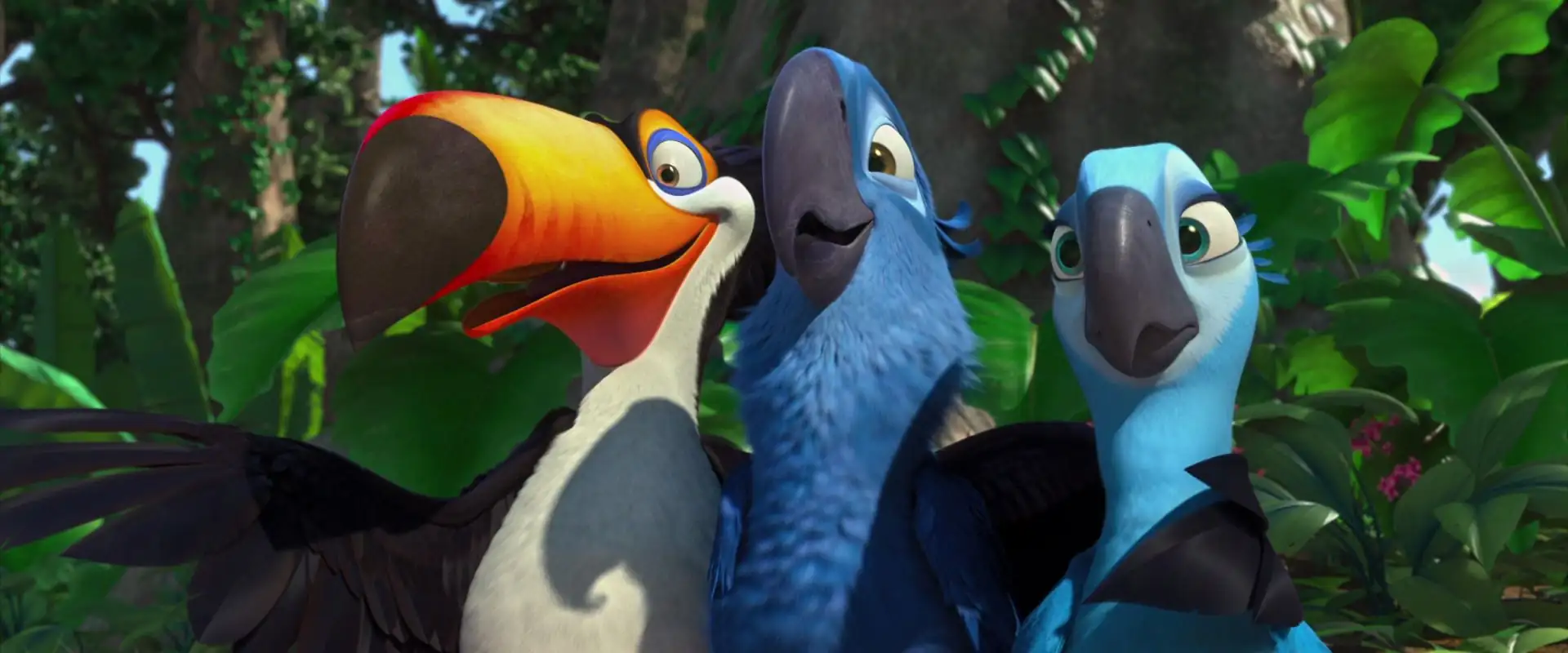 download rio (2011) dual audio {hindi-english} 480p [300mb] | 720p [700mb] | 1080p [1.1gb]