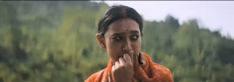 Download Sherdil The Pilibhit SagaHindi NF WEB DL 480p [460MB] | 720p [1GB] | 1080p [2.1GB] screenshot 2