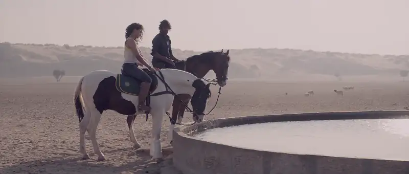 Download MirzyaBluRay Hindi Full Movie 480p [350MB] | 720p [1.2GB] | 1080p [3.5GB] screenshot 3