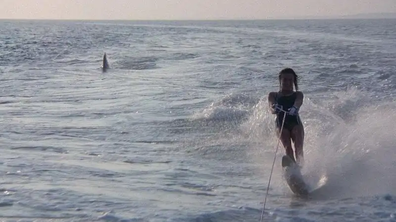 download jaws 2 (1978) bluray dual audio {hindi-english} 480p [300mb] | 720p [1.2gb] | 1080p [2.5gb]