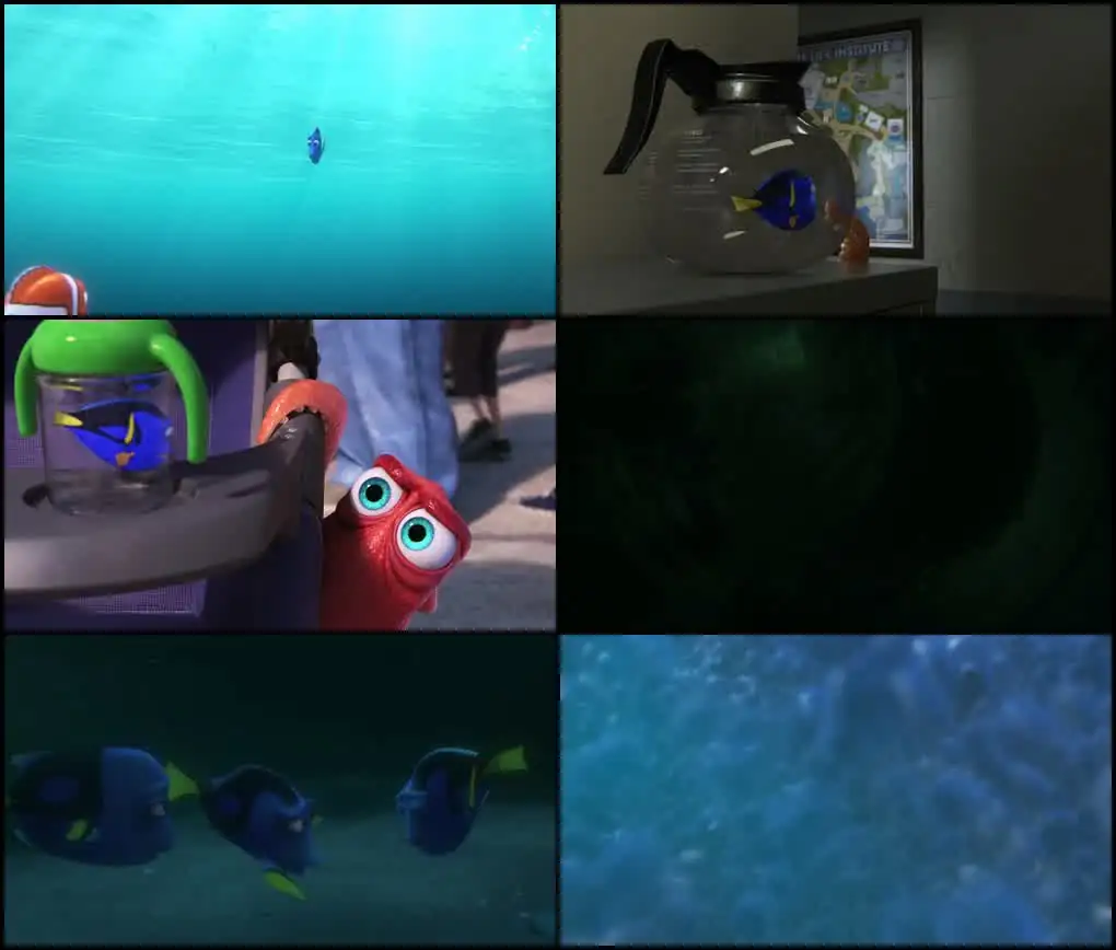download finding dory (2016) blu-ray dual audio {hindi-english} 480p [300mb] | 720p [950mb] | 1080p [2.1gb]