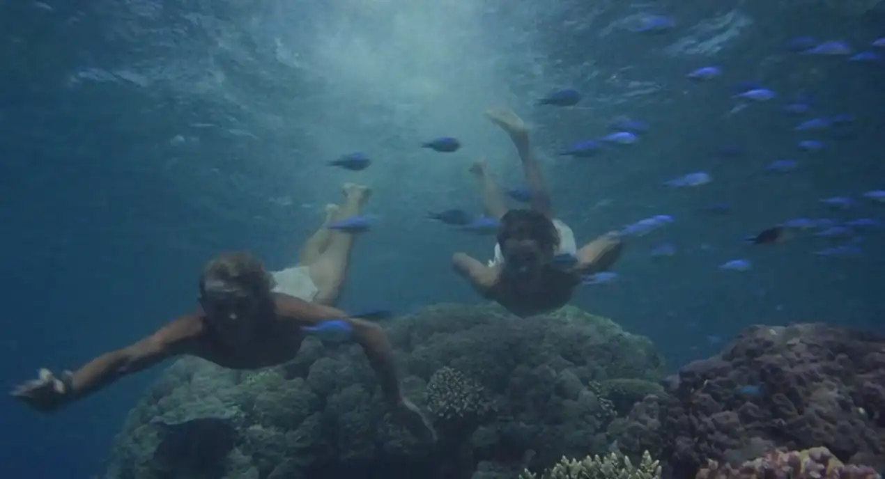 download [18+] the blue lagoon (1980) full movie in english 480p [350mb] | 720p [850mb]