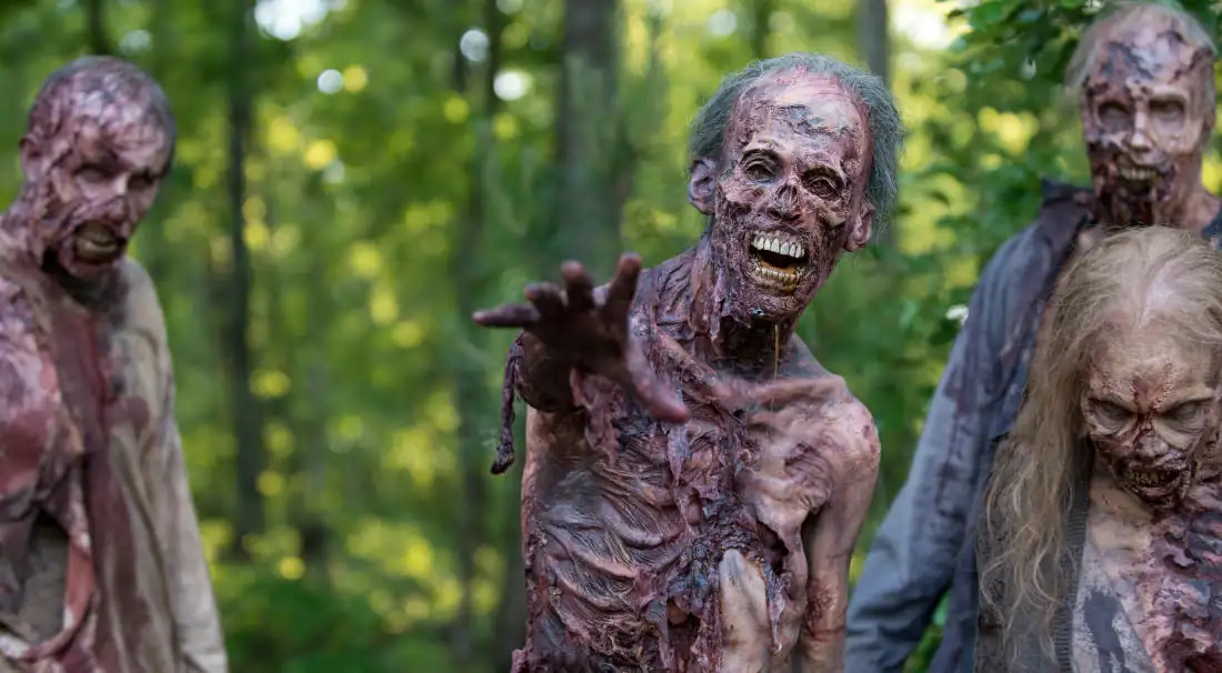 download the walking dead (seasons 1 - 10) english with subtitles complete series web-dl 720p [350mb]