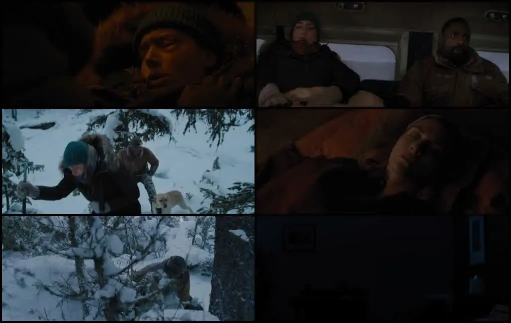 download the mountain between us (2017) dual audio {hindi-english} bluray 480p [350mb] | 720p [1.1gb] | 1080p [2gb]