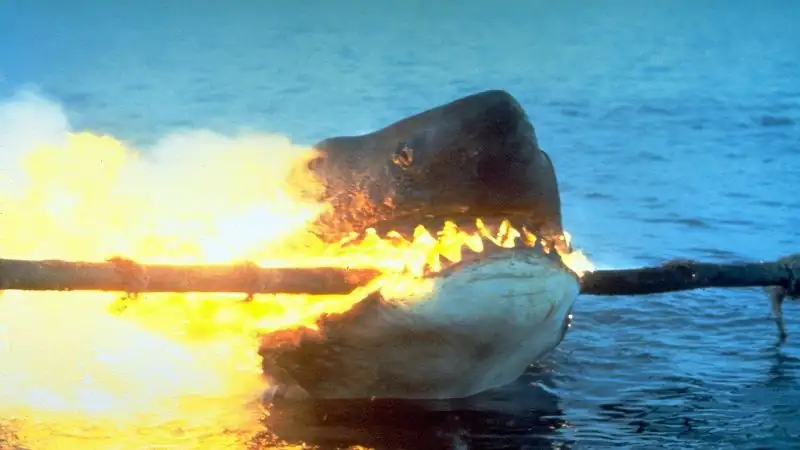 download jaws 2 (1978) bluray dual audio {hindi-english} 480p [300mb] | 720p [1.2gb] | 1080p [2.5gb]