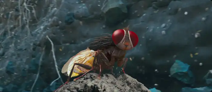 download makkhi – eega (2012) hindi dubbed full movie 480p [350mb] | 720p [1gb] | 1080p [3gb]