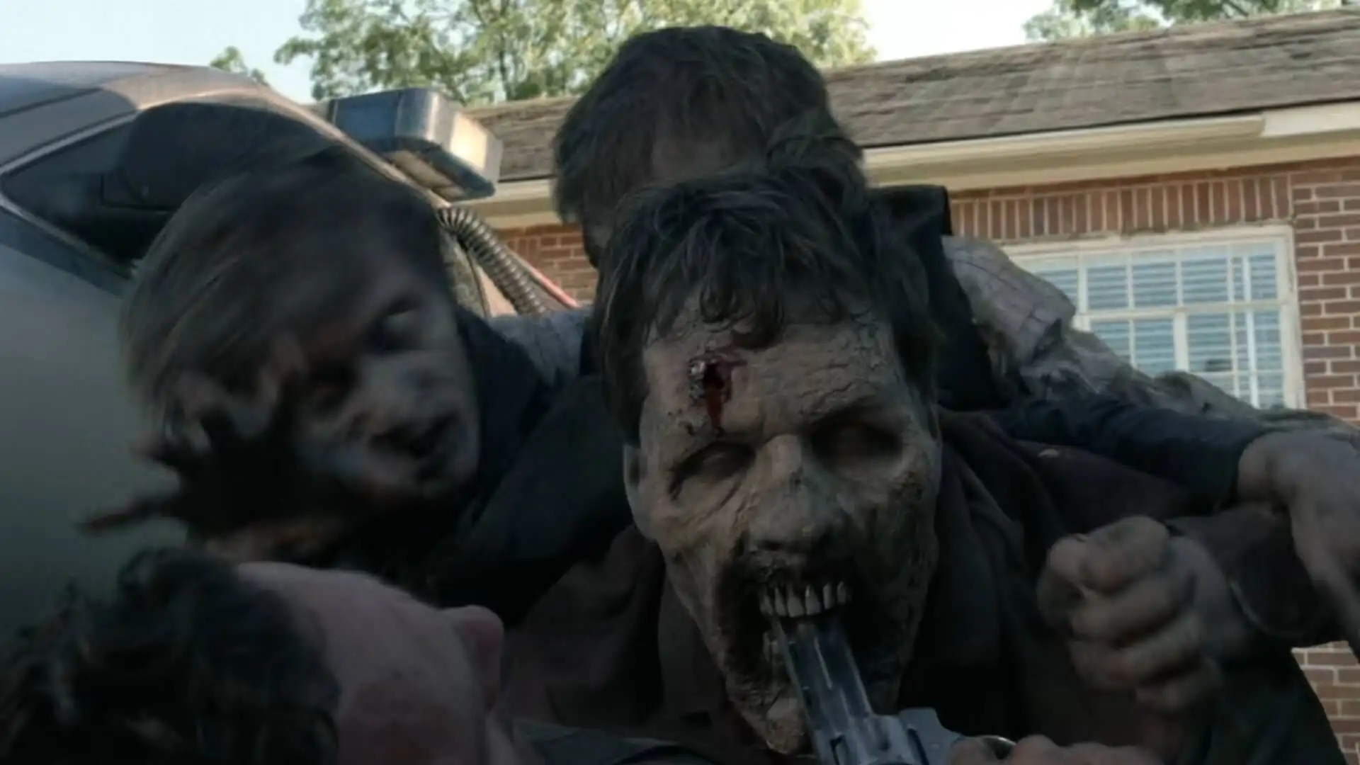 download the walking dead (seasons 1 - 10) english with subtitles complete series web-dl 720p [350mb]