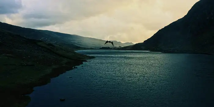 download dragon fury (2021) dual audio {hindi-english} 480p [300mb] | 720p [950mb] | 1080p [2gb]