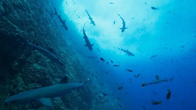 download our oceans (2024) season 1 netflix original - dual audio {hindi-english} web series 1080p & 720p web-dl