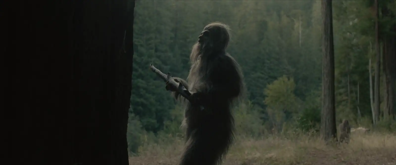 download sasquatch sunset (2024) {english audio} full movie web-dl 480p [280mb] | 720p [750mb] | 1080p [1.8gb]
