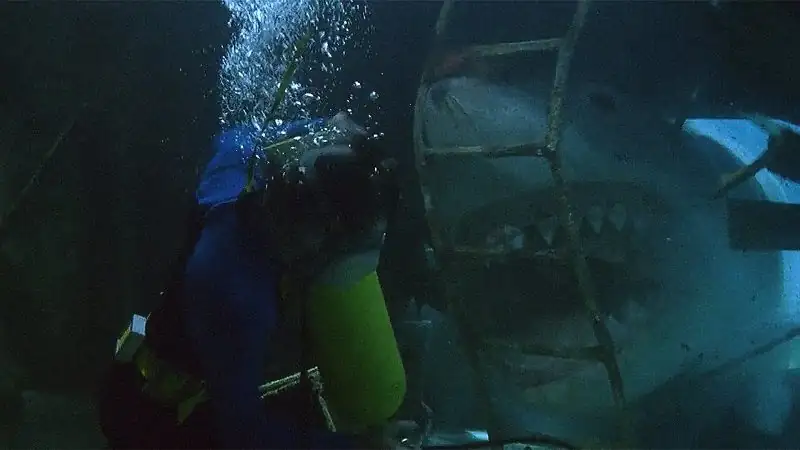 download jaws 4: the revenge (1987) bluray dual audio {hindi-english} netflix 480p [300mb] | 720p [920mb] | 1080p [1.8gb]