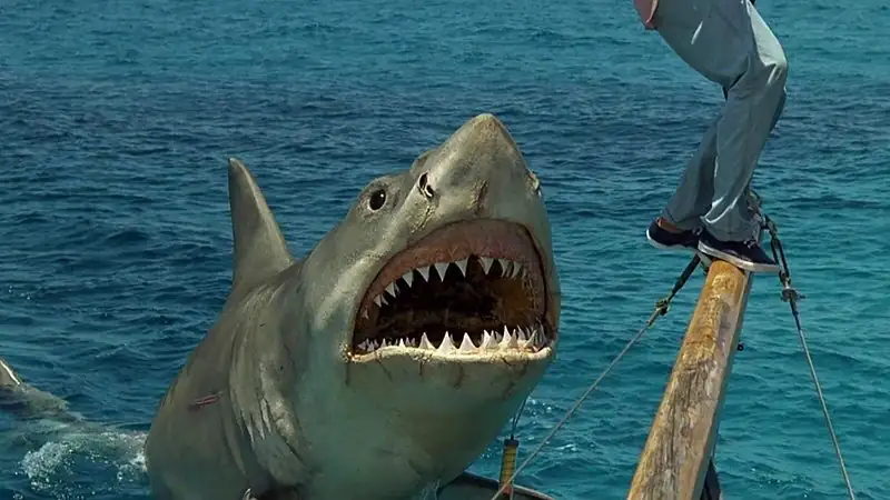 download jaws 4: the revenge (1987) bluray dual audio {hindi-english} netflix 480p [300mb] | 720p [920mb] | 1080p [1.8gb]