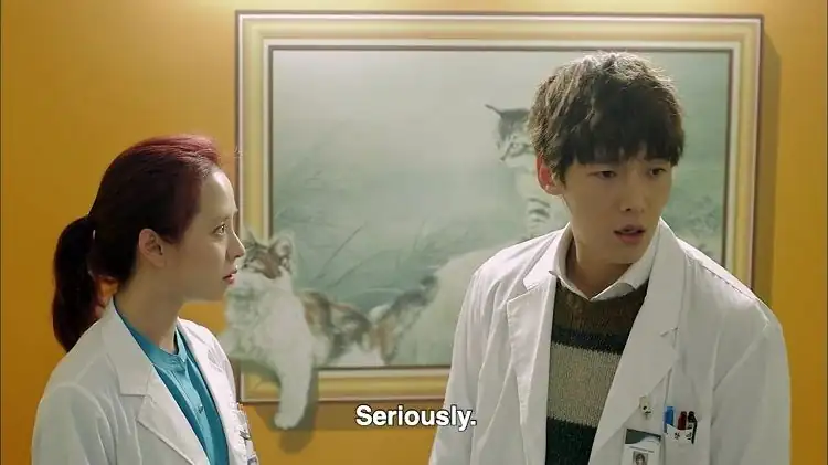 download emergency couple (2014) season 1 complete hindi dubbed [mx player] web series 480p | 720p web-dl
