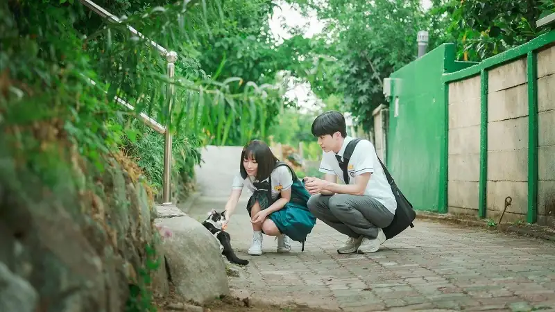 download a time called you - netflix original (2023) season 1 complete multi audio {hindi-english-korean} 720p | 1080p web-dl