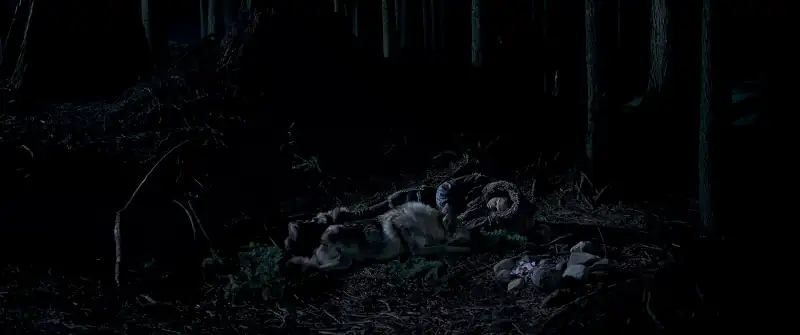 download alpha (2018) dual audio {hindi-english} 480p [300mb] | 720p [900mb] | 1080p [2gb]